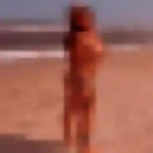 Rejoins Evelyne, 44 ans à Balgau en privé