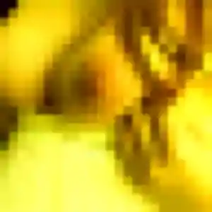 Folake, 23 ans, disponible à Barbaste pour un plan cul