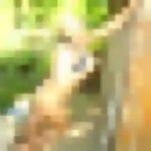 Selbé de Barbaste, 27 ans - plan cul en toute liberté