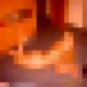 Découvre Léonie, 41 ans à Bargemon en t'inscrivant