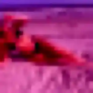 Sexy Coumba, 26 ans à Barinque - la contacter