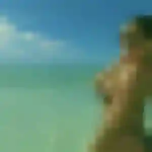 Gladys, femme de 38 ans cherche plan cul à Baron