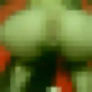 Photo perso de Yemisi, 25 ans à Bascons - plan discret