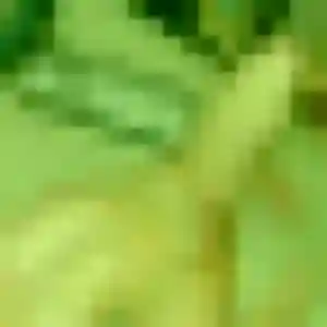 Ama, fille de 44 ans propose plan cul à Basly