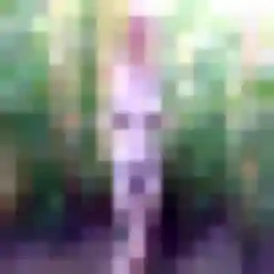 Muthoni, femme de 27 ans veut plan cul à Bassan