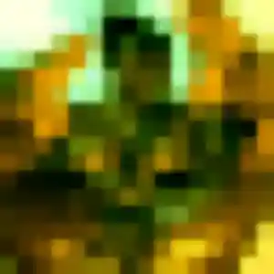 plan cul à Basse-Pointe : photo de Folake, 37 ans - inscription gratuite