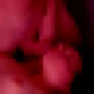 Photo sexy de Sandrine, 43 ans à Bauvin - rencontre coquine