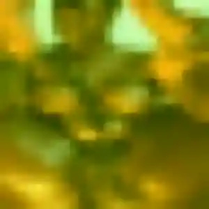 plan cul à Bazoches-sur-Hoëne : profil de Dalila, 33 ans - accès libre