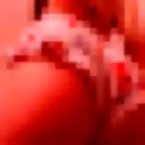 Photo privée de Maguette, 43 ans à Beauce la Romaine - rencontre coquine