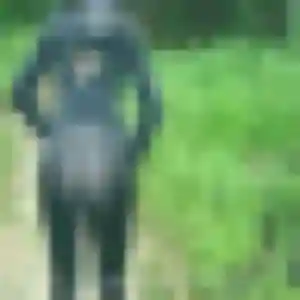 Profil de Aïcha à Beaufort-Orbagna (22 ans) - plan cul discret