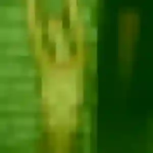 Photo de Zoé à Beaulieu (22 ans) - plan cul gratuit