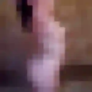 Jolie Roxane, 33 ans à Beaulieu-sous-Parthenay - la contacter