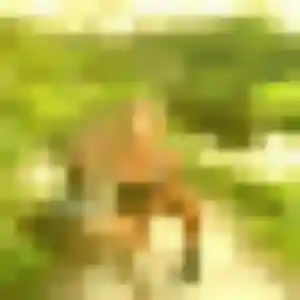Photo de Malika à Beaurepaire (35 ans) - plan cul anonyme