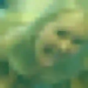 Salomé, femme de 38 ans propose plan cul à Beaurieux