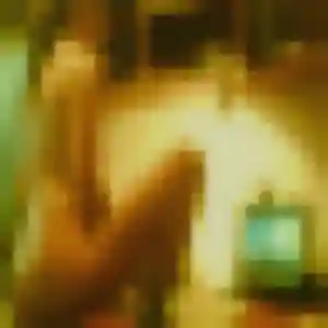 Safi, fille de 34 ans propose plan cul à Beauvoir-sur-Niort