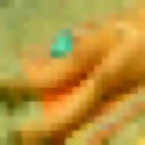 Sandy (34 ans) à Bec-de-Mortagne cherche un plan cul maintenant