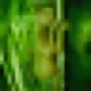 Penda, 30 ans, cherche un plan cul à Beffes