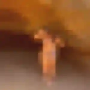 Lina, 36 ans, disponible à Béganne pour un plan cul