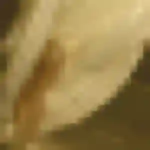 Charmante Ketty, 28 ans à Bégard - la contacter