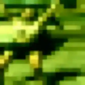 Wendy de Belfort, 29 ans - plan cul en toute liberté