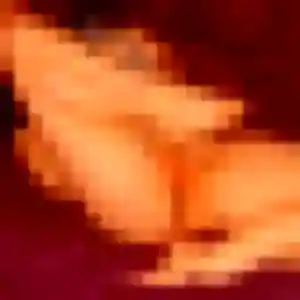 Photo exclusive de Yvette, 43 ans à Belhomert-Guéhouville - rencontre coquine