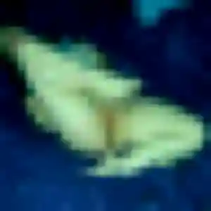 Profil de Lola à Bellaing (27 ans) - plan cul gratuit