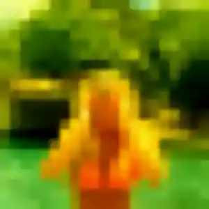 Découvre Ayélé, 44 ans à Bellencombre en privé