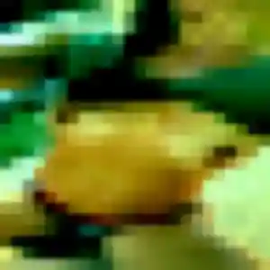 Photo de Kadiatou à Bellencombre (30 ans) - plan cul anonyme