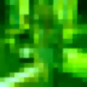 Contacte Zara, 43 ans à Bellencombre en privé