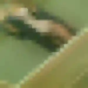 Amenan de Benon, 23 ans - plan cul sans lendemain