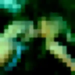 Profil de Sandy à Bergheim (23 ans) - plan cul anonyme