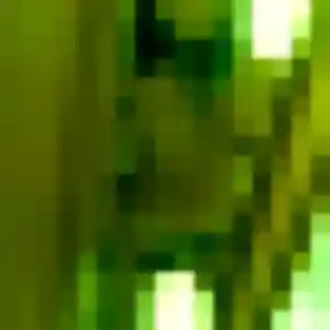 plan cul à Berneuil : profil de Isatou, 22 ans - inscription gratuite