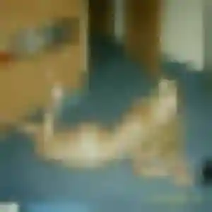 Keza de Bersée, 32 ans - plan cul en toute liberté