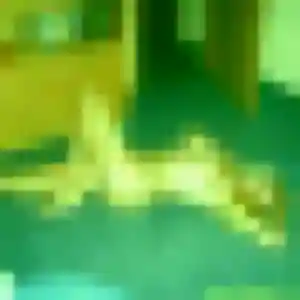 Yvette (44 ans) à Bertaucourt-Epourdon attend un plan cul ce soir