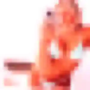 Adélaïde de Berthen, 23 ans - plan cul discret