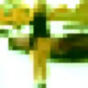 Zuri, 31 ans, disponible à Berthen pour une rencontre coquine