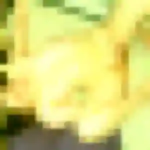 Dorothée, fille de 28 ans cherche plan cul à Bésayes