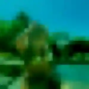 Photo privée de Gwenaëlle, 45 ans à Bessan - plan discret
