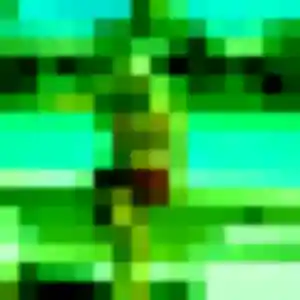 Découvre Adélaïde, 32 ans à Bessenay gratuitement