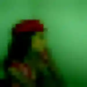 Amani, 25 ans, disponible à Bessenay pour une rencontre coquine