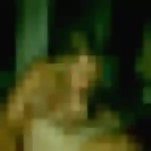 Rencontre Takha, 27 ans à Besson en t'inscrivant