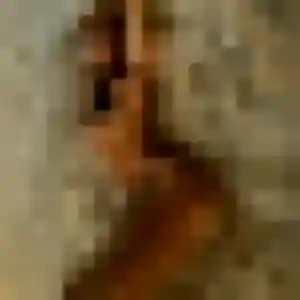 Photo de Nabou à Beugnon-Thireuil (38 ans) - plan cul anonyme