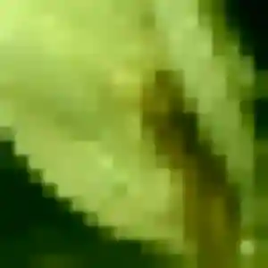 plan cul à Beurlay : photo de Daba, 25 ans - inscription gratuite