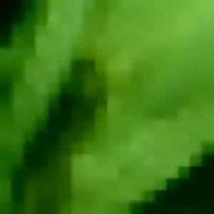 Naïma (36 ans) à Beuvardes cherche une rencontre rapidement