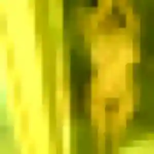 Nafi, 42 ans, dispo pour plan cul à Beuvry-la-Forêt