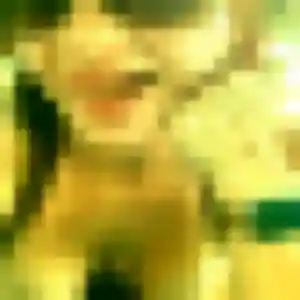 Contacte Yolène, 22 ans à Beuvry-la-Forêt en t'inscrivant