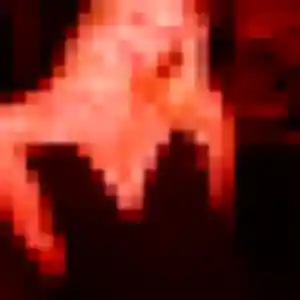 Photo exclusive de Adwoa, 30 ans à Beuzeville-la-Grenier - rencontre sans lendemain