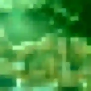 Rencontre Adeline, 37 ans à Biol en privé