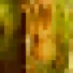 Diane, 34 ans, cherche un plan cul à Biville-la-Baignarde