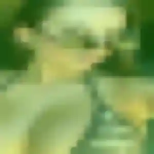Jolie Xavière, 41 ans à Bligny-sur-Ouche - la contacter